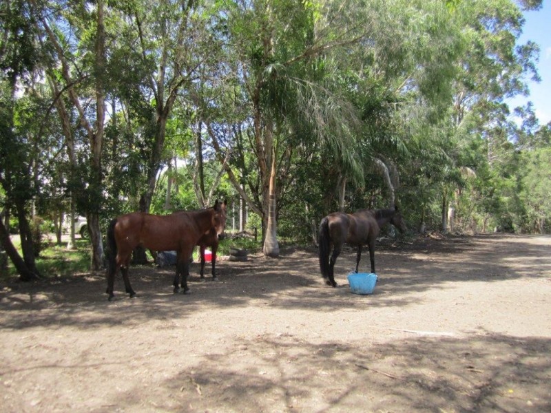 368 Kinmond Creek Road, Cootharaba QLD 4565