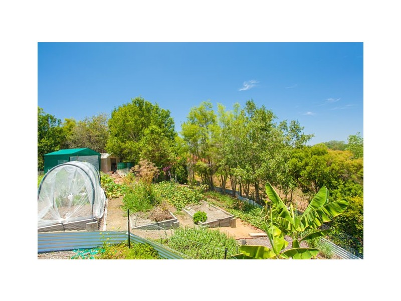 12 Watergum Place, Black Mountain QLD 4563