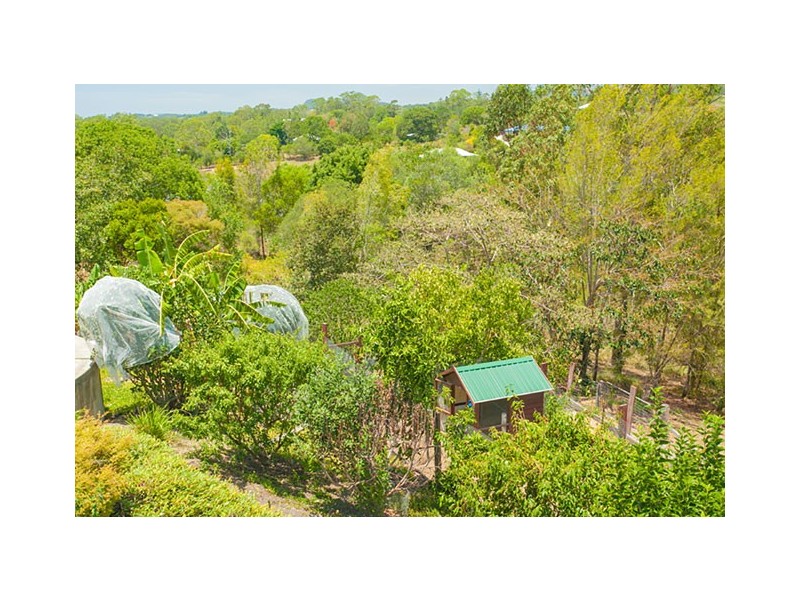 12 Watergum Place, Black Mountain QLD 4563