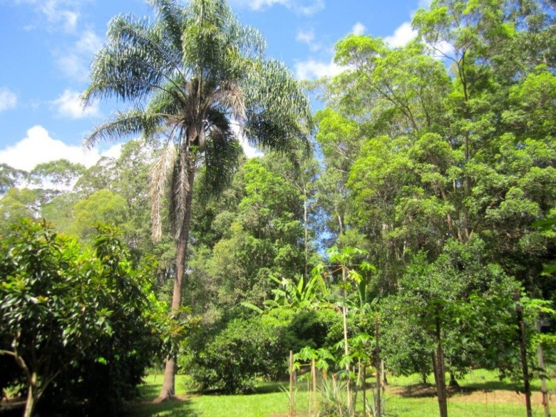 64 Firewheel Road, Pomona QLD 4568