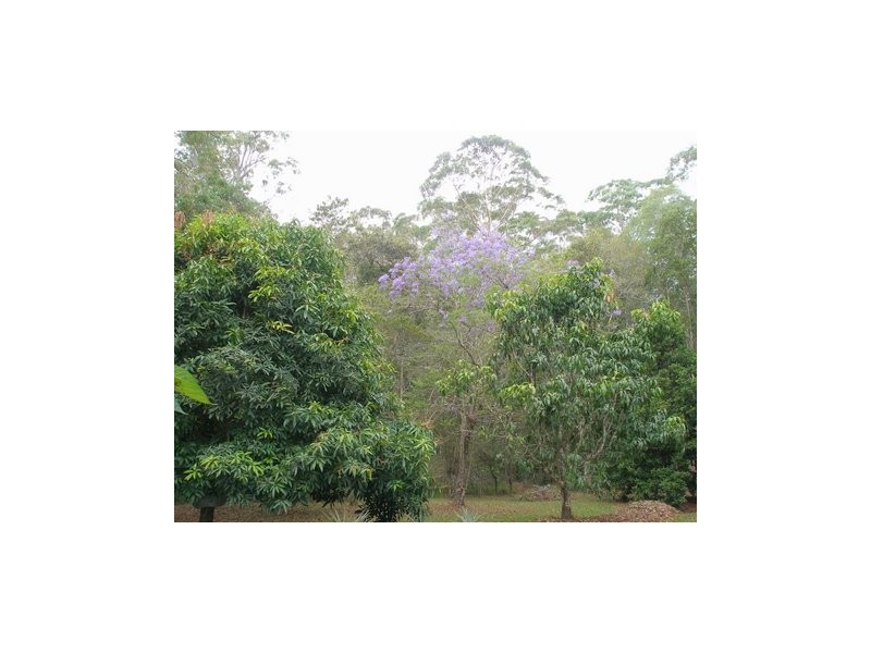 64 Firewheel Road, Pomona QLD 4568