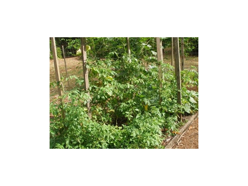 64 Firewheel Road, Pomona QLD 4568