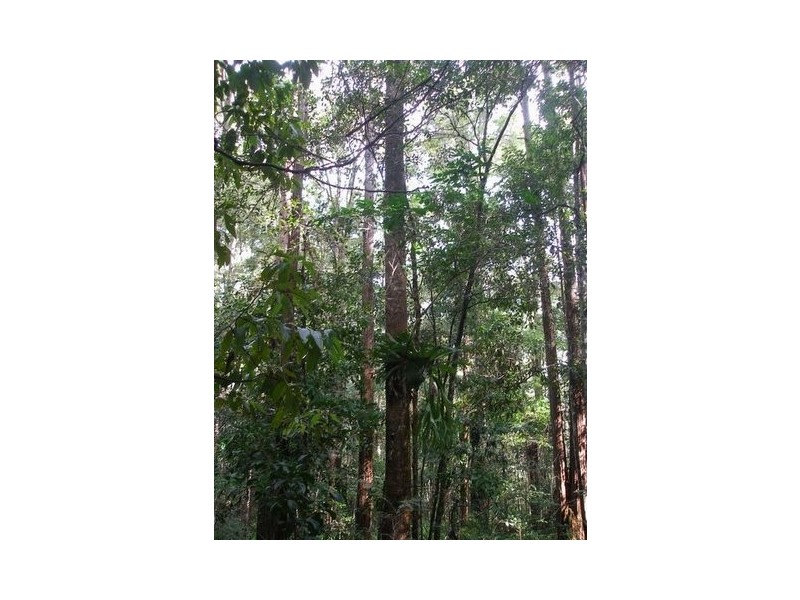 64 Firewheel Road, Pomona QLD 4568