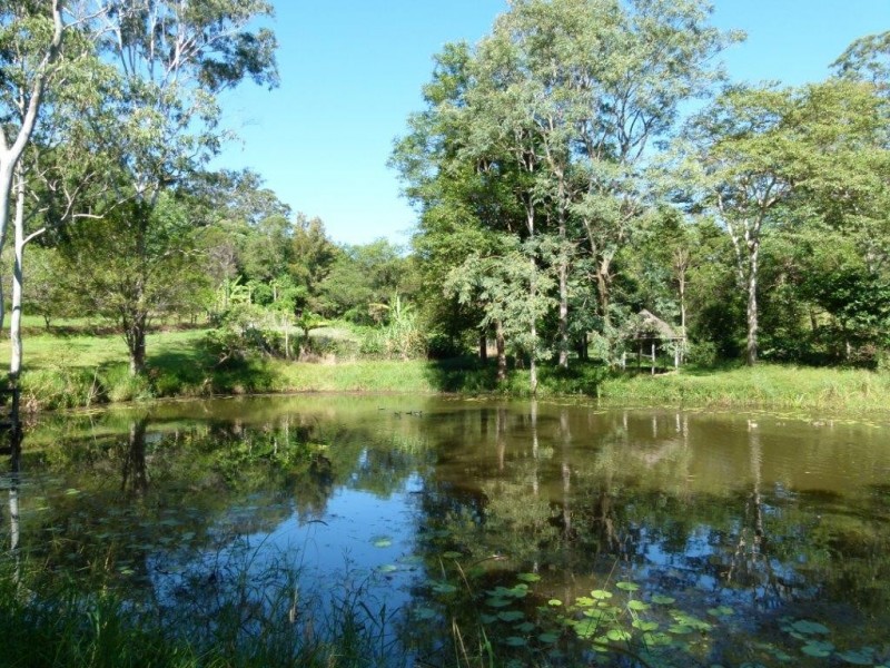 18 Arnlyn Court, Cooroy QLD 4563