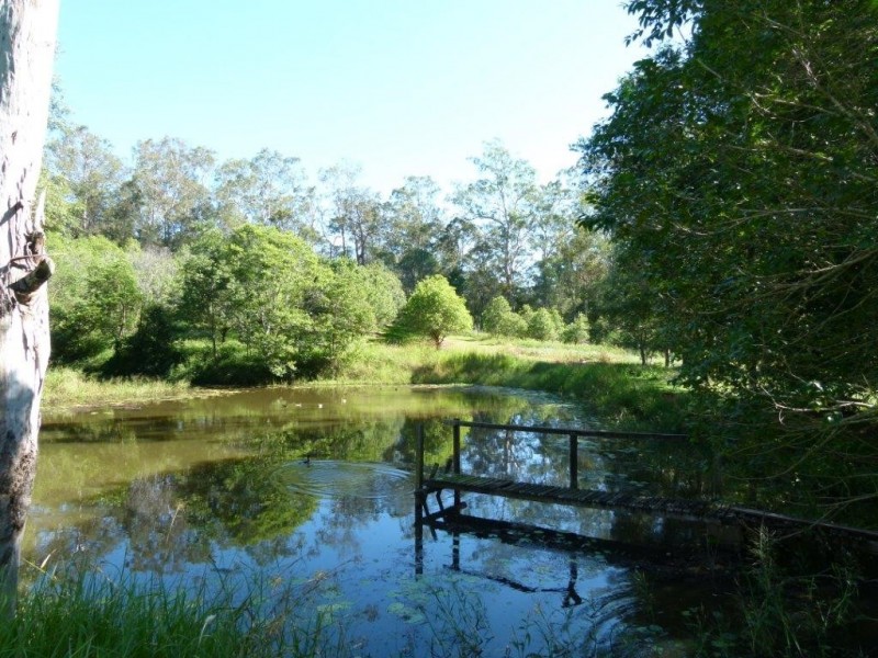 18 Arnlyn Court, Cooroy QLD 4563