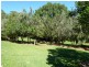 18 Arnlyn Court, Cooroy QLD 4563