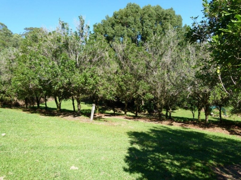 18 Arnlyn Court, Cooroy QLD 4563