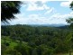 132 OLD MILL ROAD, Carters Ridge QLD 4563