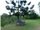 132 OLD MILL ROAD, Carters Ridge QLD 4563