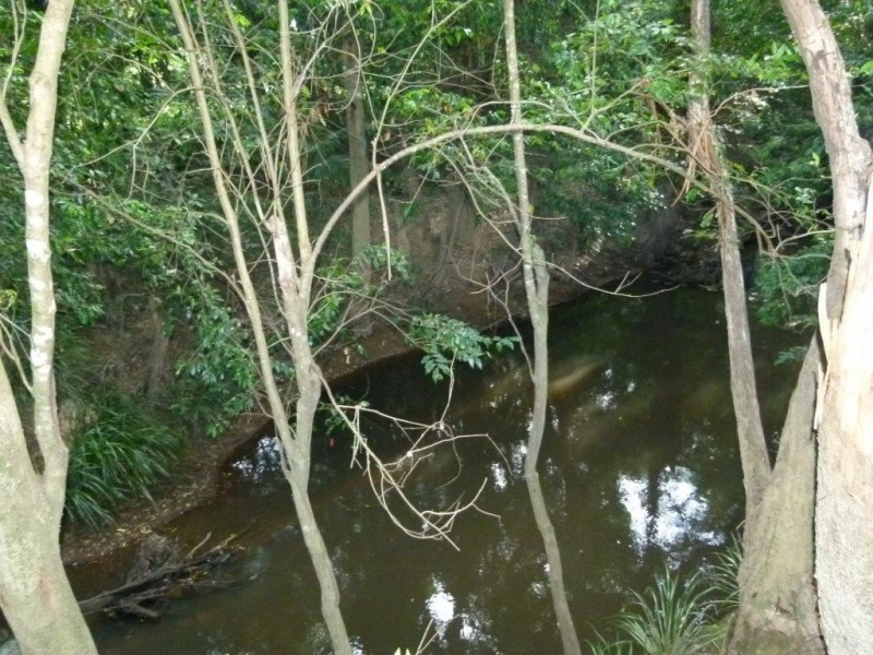 305 Lake Macdonald Drive, Lake Macdonald QLD 4563