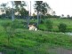 Southside QLD 4570