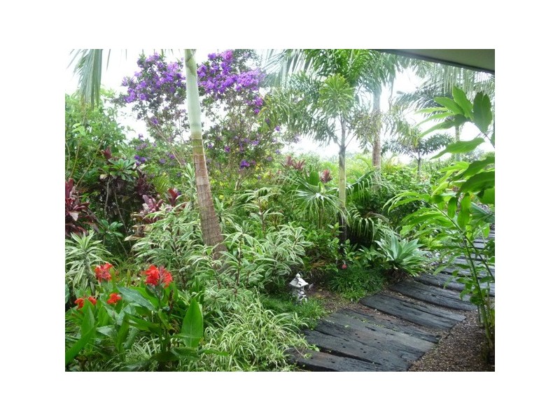 8 Dianella Court, Cooroy QLD 4563