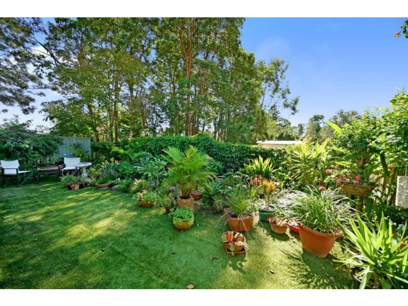 6/12 KAURI STREET, Cooroy QLD 4563