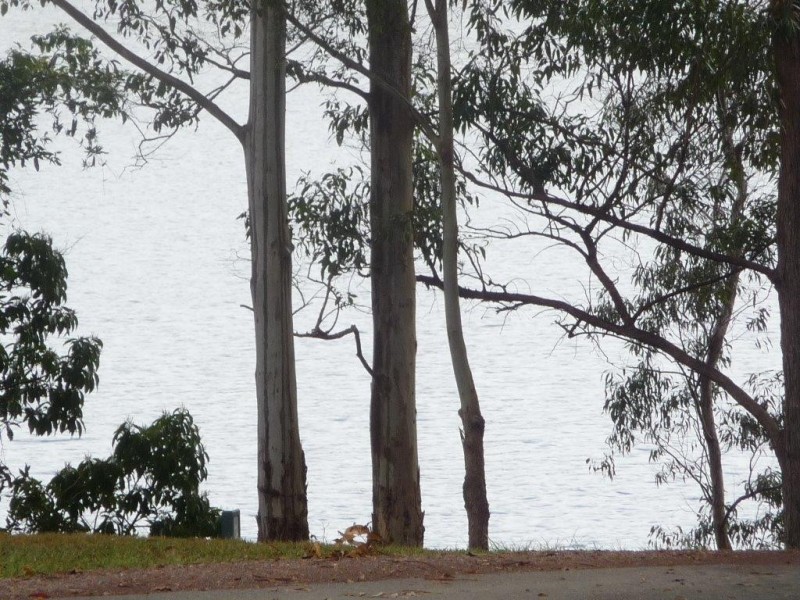 385 Lake Macdonald Drive, Lake Macdonald QLD 4563