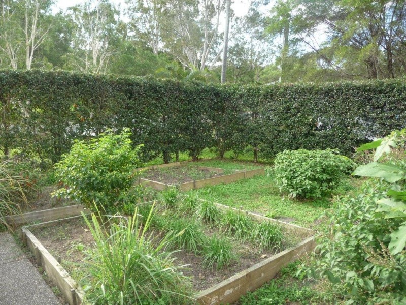 9 Olivine Street, Cooroy QLD 4563