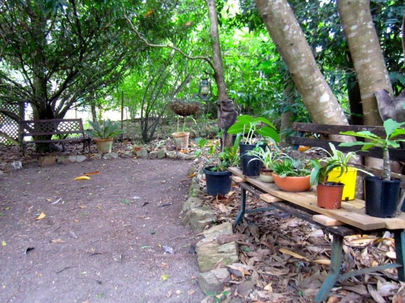 9 Albert Street, Cooran QLD 4569