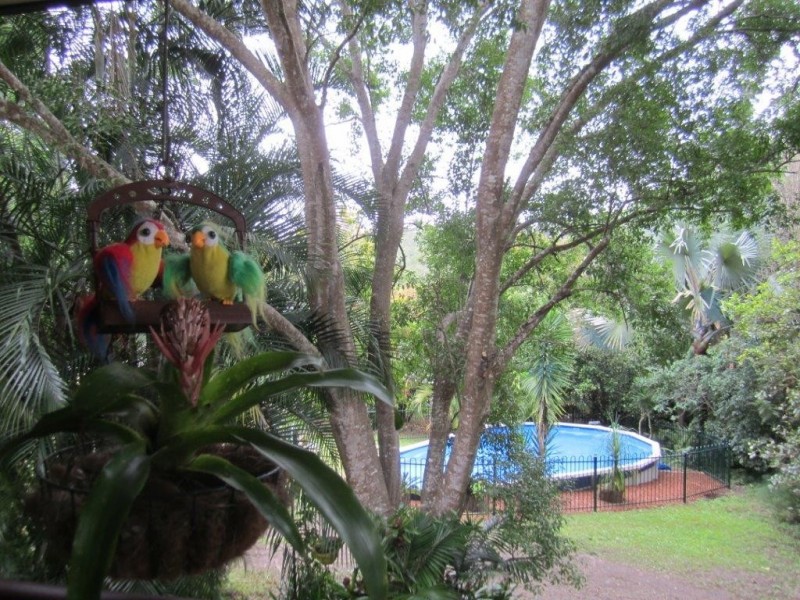 9 Albert Street, Cooran QLD 4569