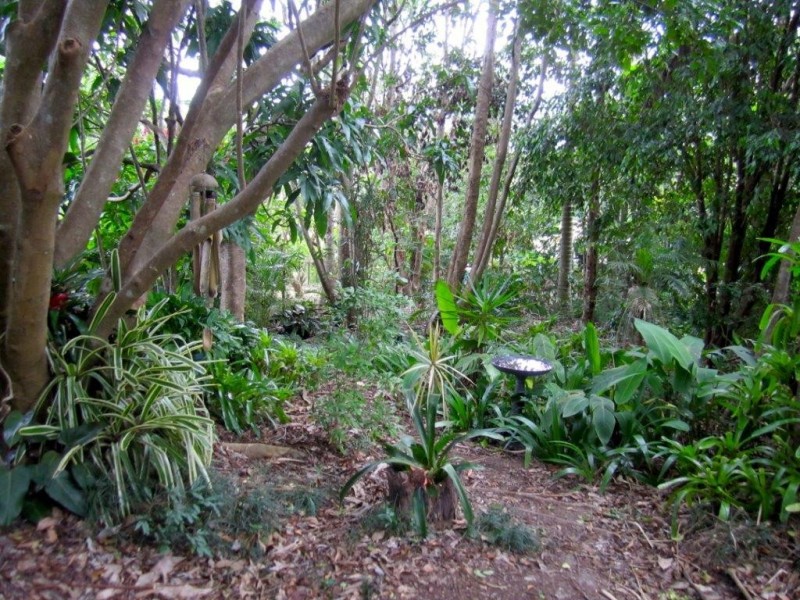 9 Albert Street, Cooran QLD 4569