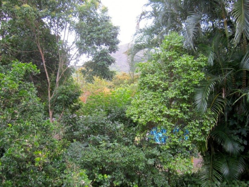 9 Albert Street, Cooran QLD 4569