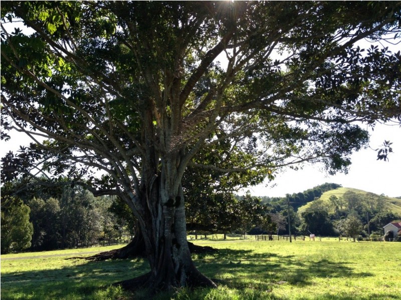 1175 Pomona Kin Kin Rd, Kin Kin QLD 4571