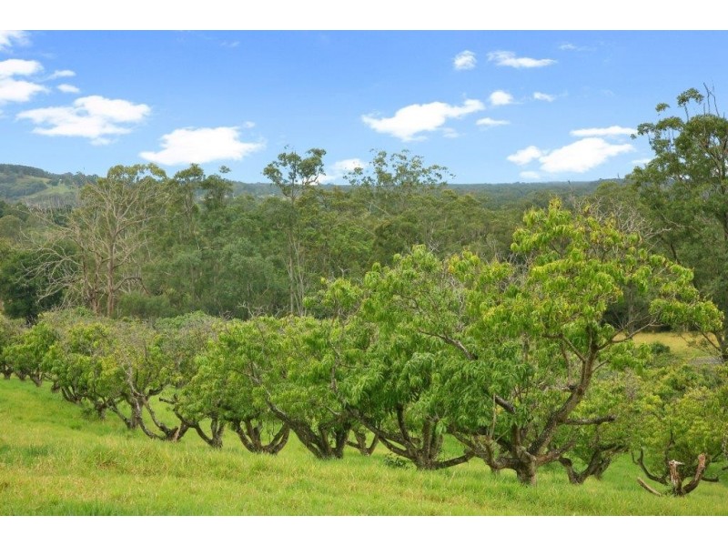 Lot 182 Dr Pages Road, Kin Kin QLD 4571