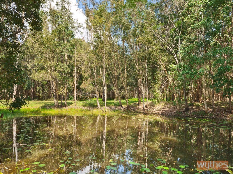 239 Louis Bazzo Drive, Pomona QLD 4568