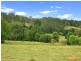 545 Sister Tree Creek Road, Kin Kin QLD 4571