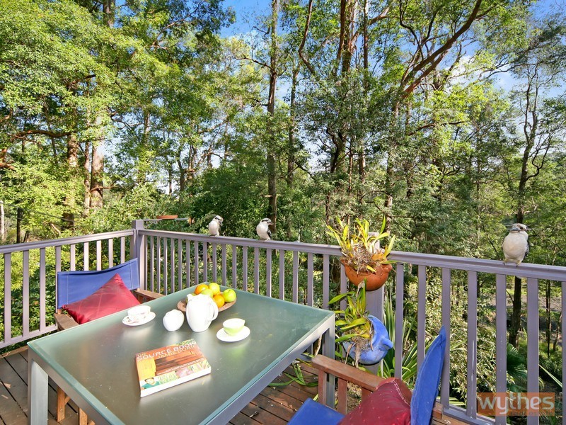 11 Gumleaf Close, Doonan QLD 4562