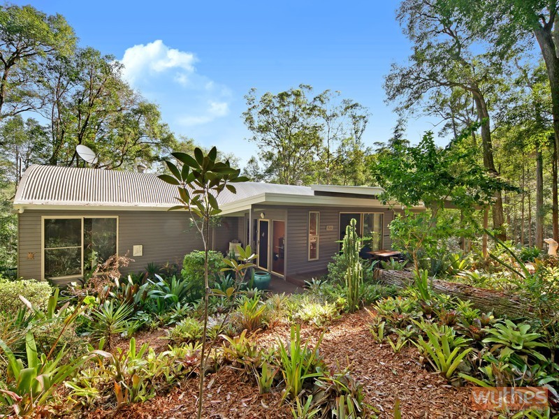 11 Gumleaf Close, Doonan QLD 4562