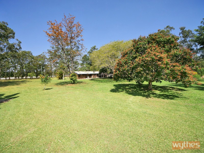 1459 Louis Bazzo Drive, Cootharaba QLD 4565