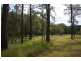 70 Read Street, Tewantin QLD 4565