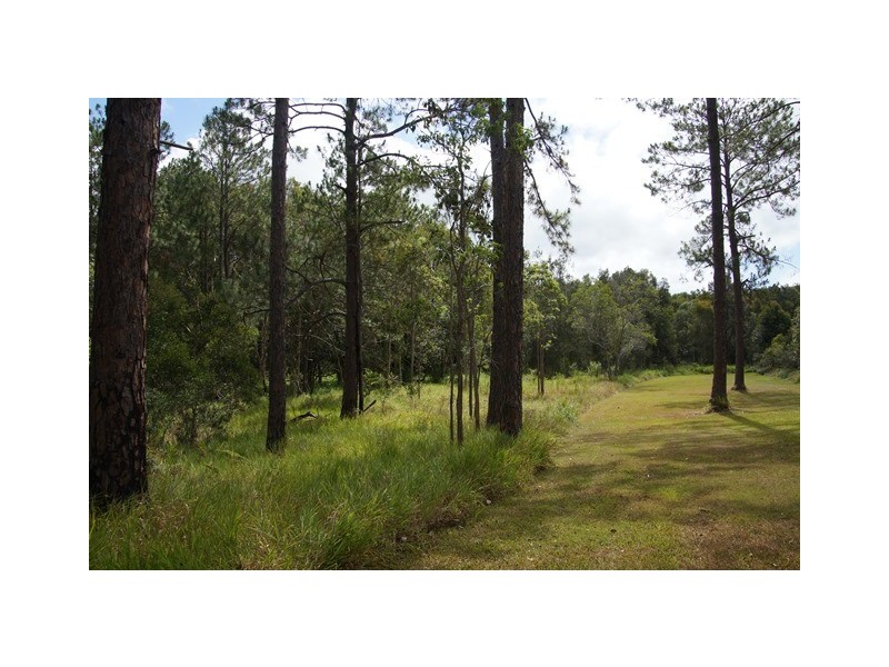 70 Read Street, Tewantin QLD 4565