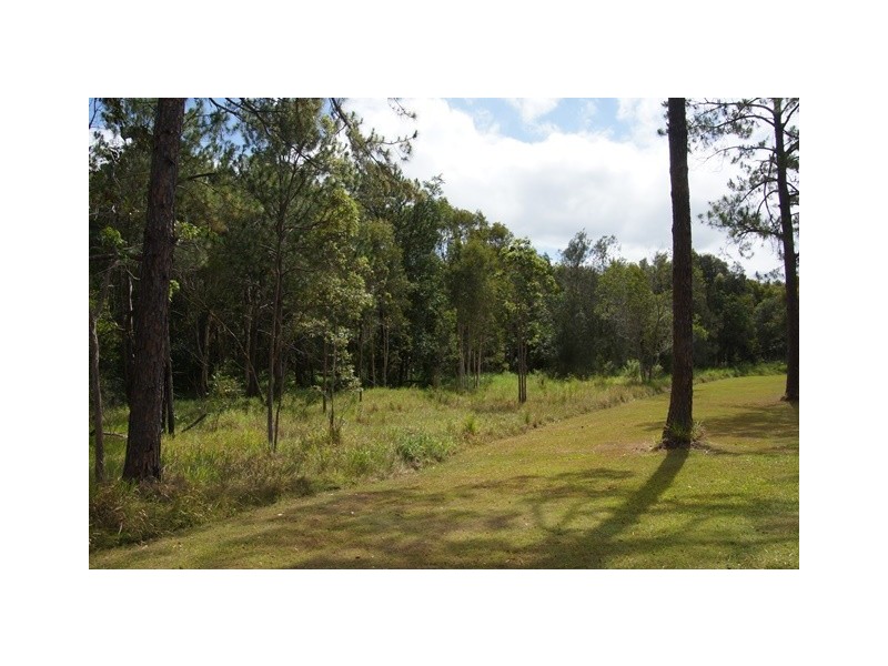 70 Read Street, Tewantin QLD 4565