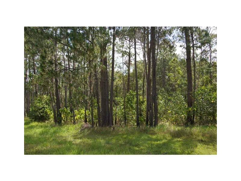 70 Read Street, Tewantin QLD 4565