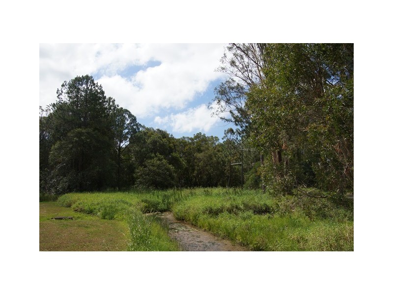 70 Read Street, Tewantin QLD 4565