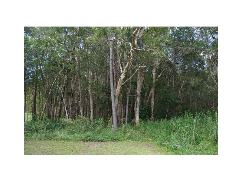 70 Read Street, Tewantin QLD 4565