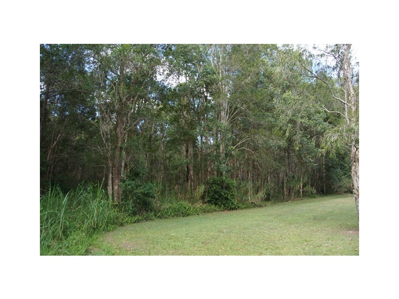 70 Read Street, Tewantin QLD 4565