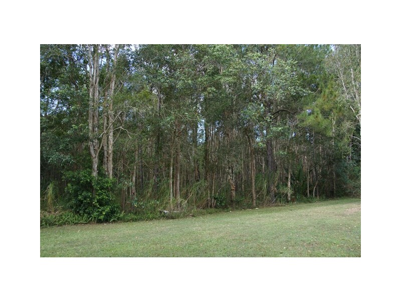 70 Read Street, Tewantin QLD 4565