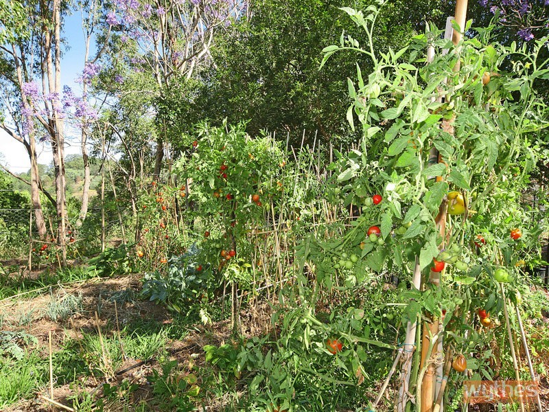 90 Pender Creek Road, Kin Kin QLD 4571