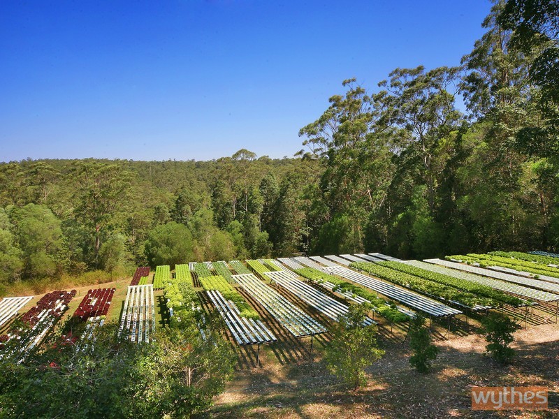 123 Killawarra Road, Lake Macdonald QLD 4563