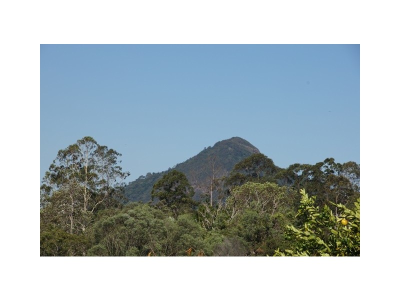 36 Overlander Avenue, Cooroy QLD 4563