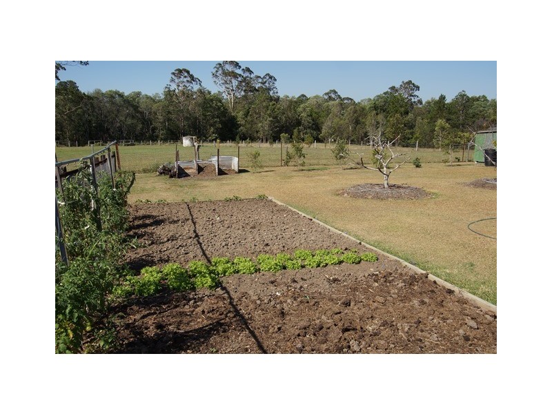 36 Overlander Avenue, Cooroy QLD 4563