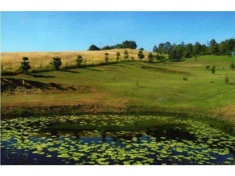 63 Barsby Road, Imbil QLD 4570