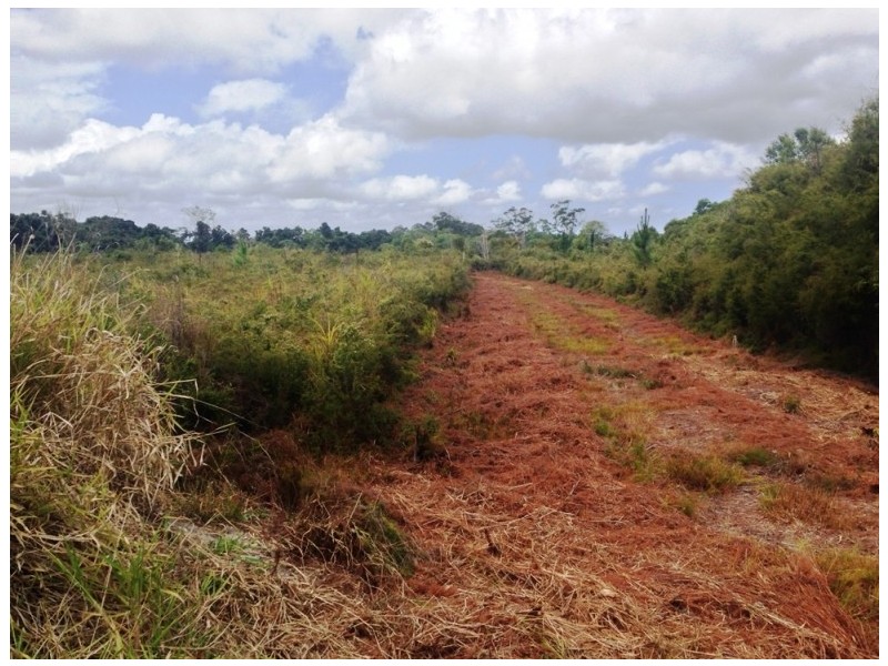LOT 2 Dr Pages Road, Cootharaba QLD 4565