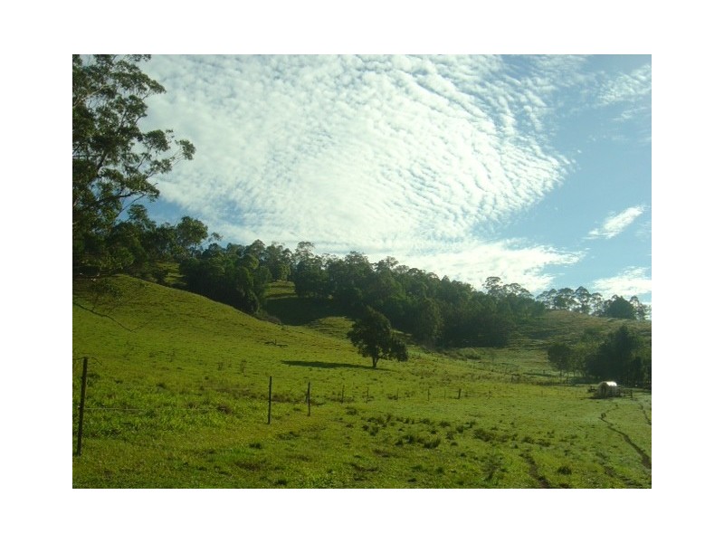 26 Jorgensen Road, Ridgewood QLD 4563