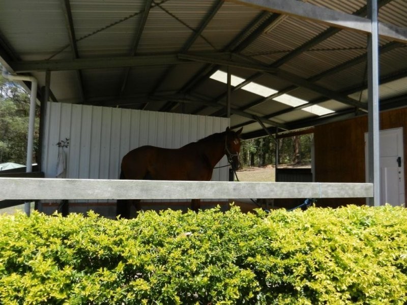 490 Cootharaba Road, Cootharaba QLD 4565