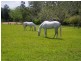 490 Cootharaba Road, Cootharaba QLD 4565