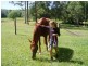 490 Cootharaba Road, Cootharaba QLD 4565