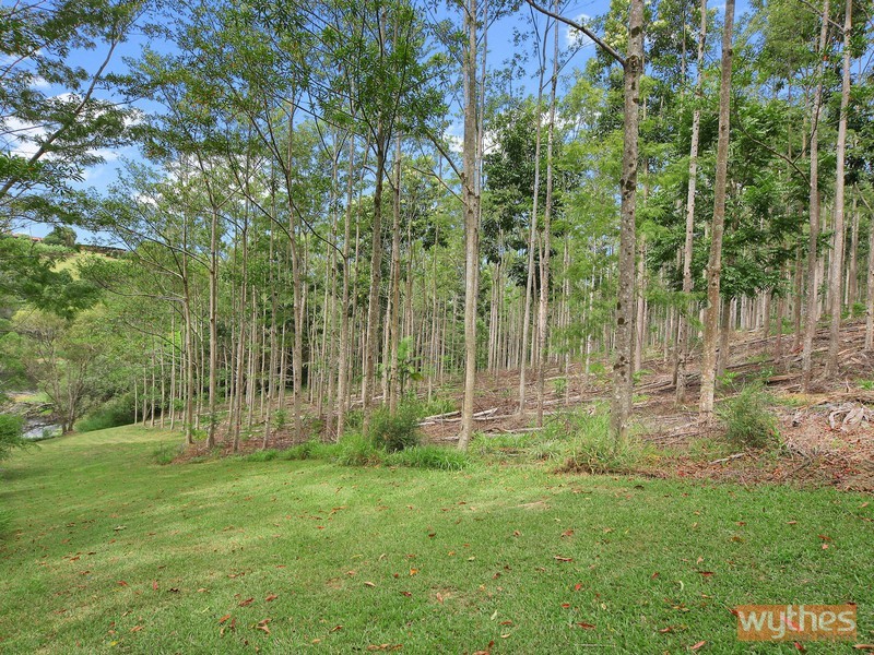 124 Black Mountain Road, Cooroy QLD 4563