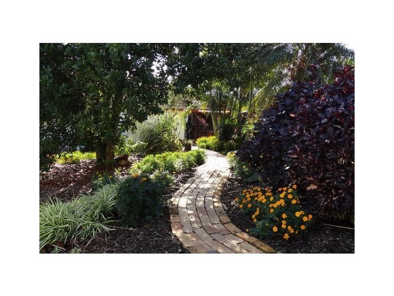 124 Black Mountain Road, Cooroy QLD 4563